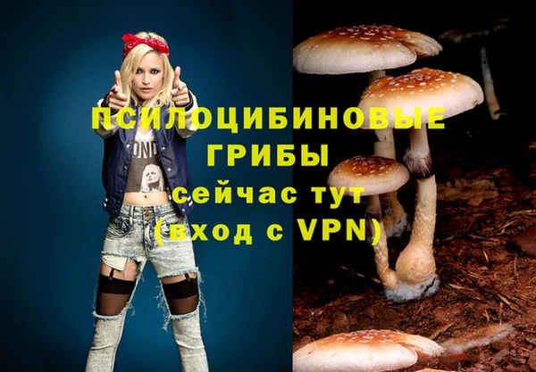 амф Абдулино