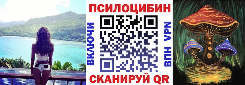 дарк нет формула  Ардон  Галлюциногенные грибы MAGIC MUSHROOMS 